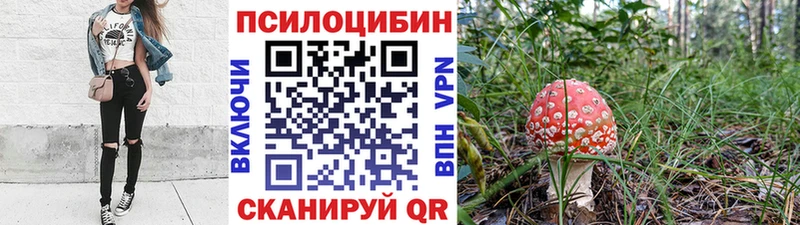 Галлюциногенные грибы Psilocybine cubensis  купить закладку  гидра   Кировград 