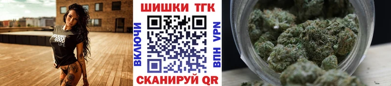 Конопля гибрид  Кировград 
